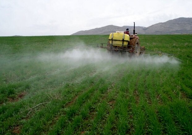 سم حشره کش متیوکارب (مزورل) چیست و چه کاربردی دارد؟