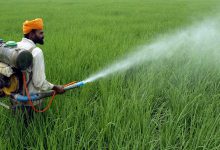 معرفی سم حشره کش بیوآلترین و کاربردهای آن