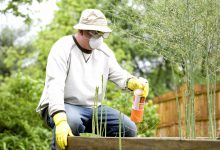 معرفی سم حشره کش تری کلروفن (دیپتریکس) و کاربردهای آن