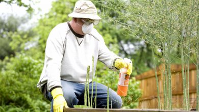 معرفی سم حشره کش تری کلروفن (دیپتریکس) و کاربردهای آن