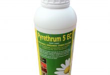 معرفی سم حشره کش پيرتروم (پيرترين) و کاربردهای آن