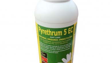 معرفی سم حشره کش پيرتروم (پيرترين) و کاربردهای آن