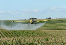 ویژگی و تاثیرات سم حشره کش فنتوات (سيديال)