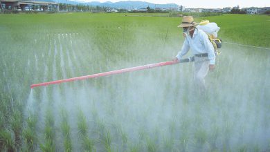 ویژگی و کاربردهای سم حشره کش فنوترين (سوميترين)