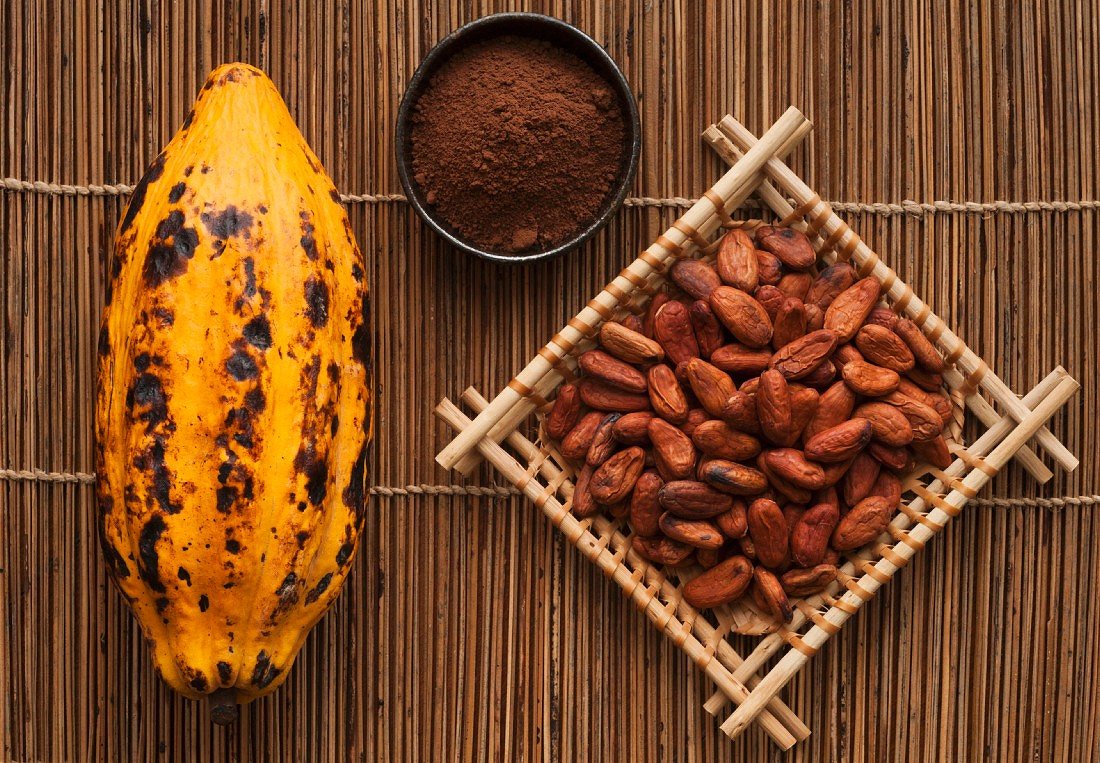قیمت و خرید پودر کاکائو 