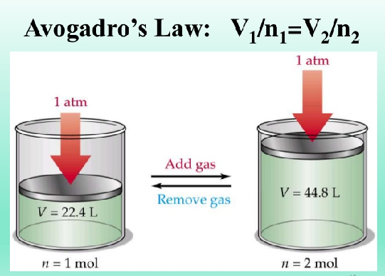 قانون آووگادرو