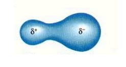 توزیع ابر الکترونی در یک پیوند کووالانس قطبی