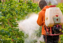 آشنایی با سم علف کش آلاکلر و کاربردهای آن