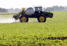 آشنایی با موارد مصرف علف کش کلرتال دیمتیل (داکتال)