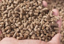 آشنایی با کاربردهای سم موش کش و جونده کش وارفارین