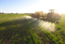 معرفی سم علف کش بنزوئیل پروب اتیل (سافيكس)