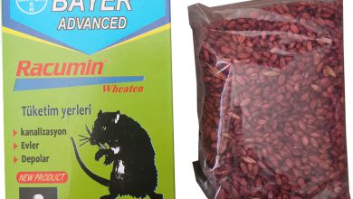 معرفی سم موش کش و جونده کش راکومین (کوماتترالیل)