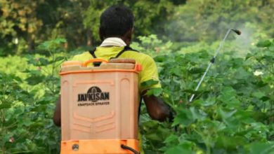 معرفی کاربردهای علف کش فن مديفام (بتانال)