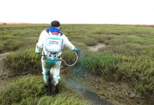 کاربردها و روش مصرف سم علف کش سيكلوات (رونیت)