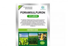کاربردها و قیمت سم علف کش فورام سولفورون (اكوئيپ)