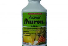 کاربردها و قیمت سم علف کش دیوران (کارمکس)