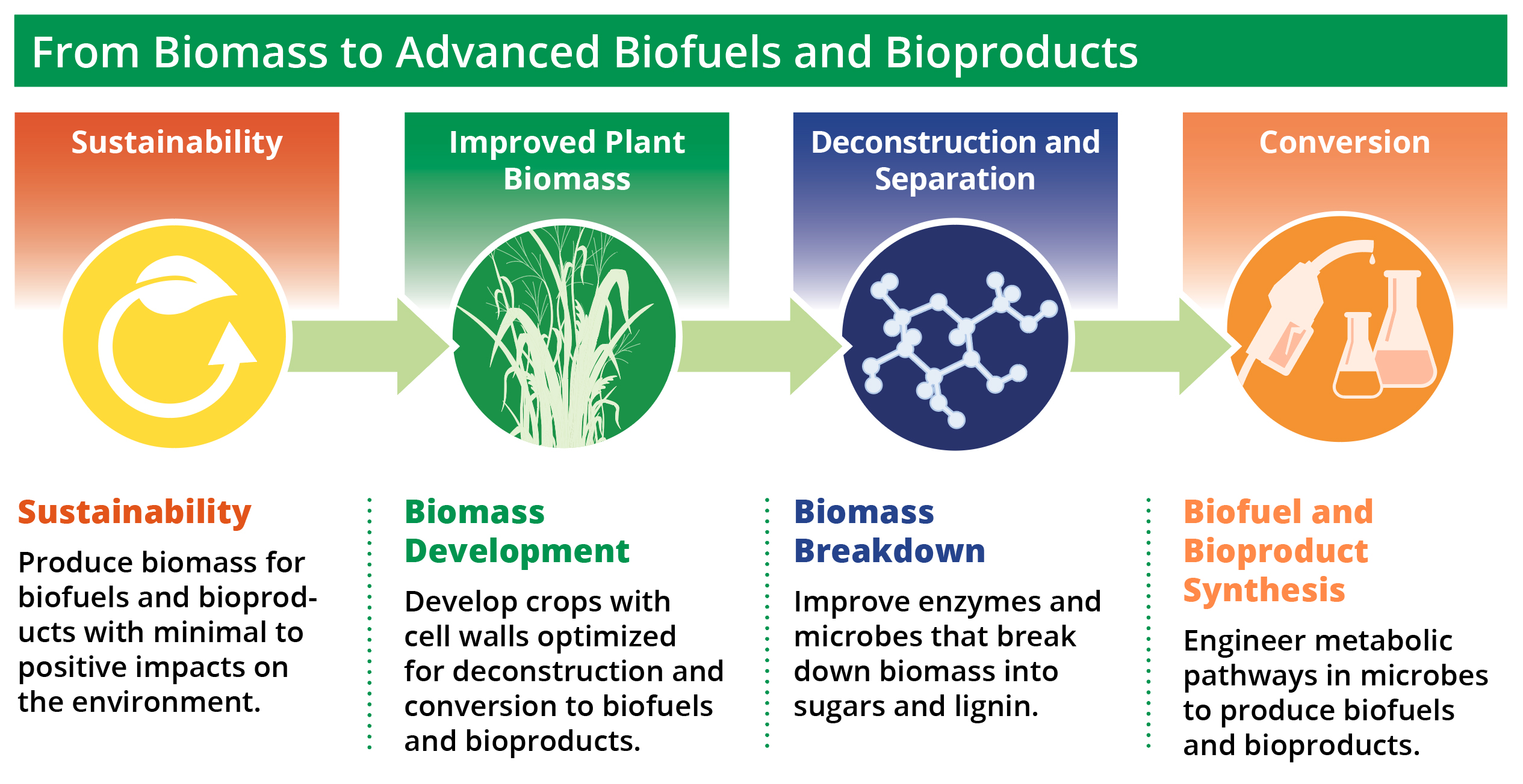سوخت زیستی چیست و چه کاربردهایی دارد؟