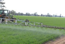 آشنایی با سم علف کش ترباسیل (سینبار) و کاربردهای آن