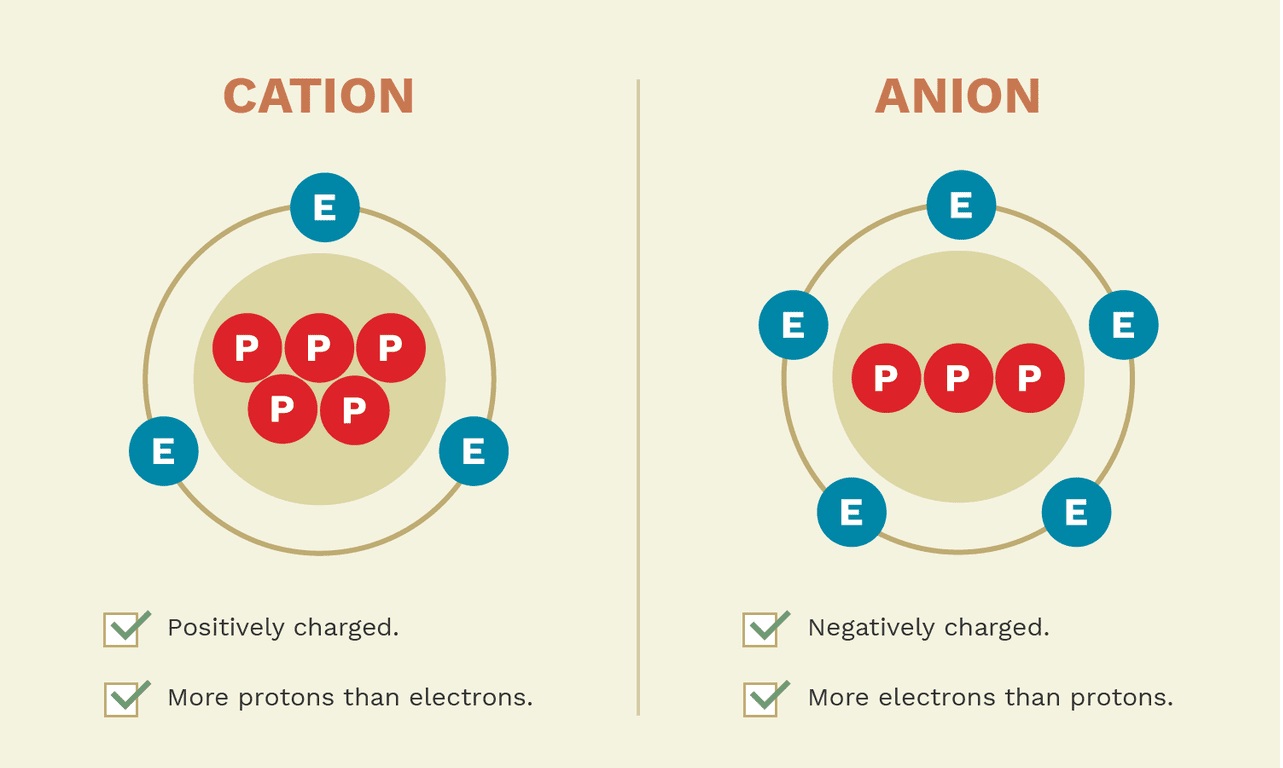 آنیون چیست و از ویژگی های آن چه می دانید؟