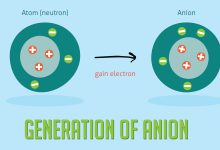آنیون چیست و از ویژگی های آن چه می دانید؟