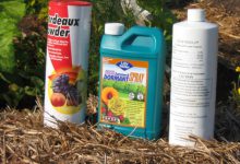 باکتری کش چیست و چه کاربردی در گیاهان دارد؟