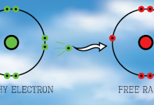 رادیکال آزاد چیست و از آسیب زایی آنها چه می دانید؟