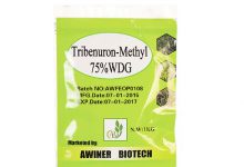 روش مصرف و قیمت علف کش تری بنورون متیل (گرانستار)