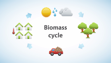 زیست توده چیست و چه کاربردهایی دارد؟