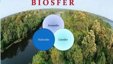 زیست کره (بیوسفر) چیست و چه اهمیتی دارد؟