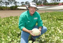 سم کادوزفوس (راگبی) چیست و چگونه مصرف می شود؟