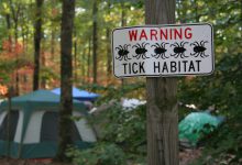 سم کنه کش چیست و چگونه مصرف می شود؟