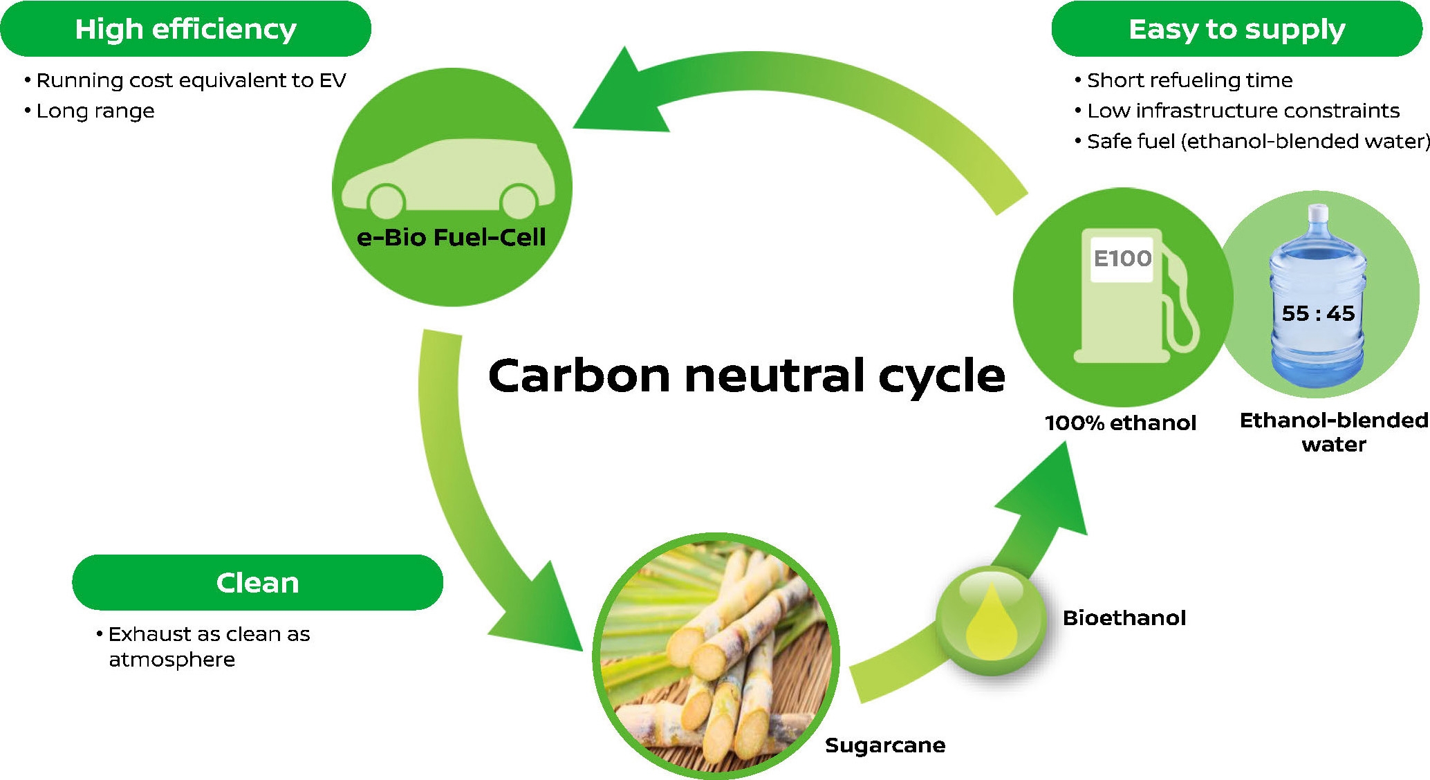 سوخت سبز چیست، چگونه تولید می شود و چه مزایایی دارد؟