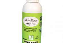 معرفی سم علف کش نیکوسولفورون (کروز) و کاربردهای آن