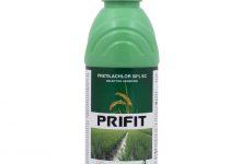 معرفی کاربردها و قیمت علف کش پرتیلاکلر (ریفیت)