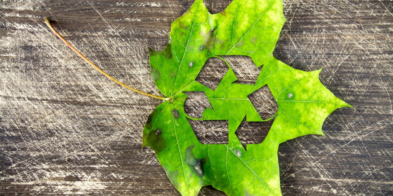 مواد زیست تخریب پذیر چه موادی هستند؟