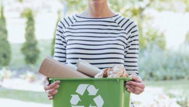 مواد زیست تخریب پذیر چه موادی هستند؟