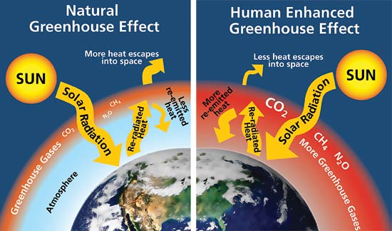 همه چیز در مورد گازهای گلخانه ای و تاثیرات آنها بر کره زمین