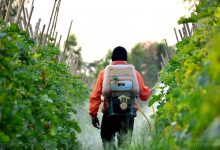 آشنایی با کاربردها و قیمت خرید سم علف کش کلین وید