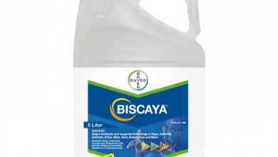 روش های کاربرد و قیمت سم حشره کش بیسکایا