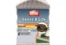 سم مار کش چیست و چگونه مصرف چیست؟