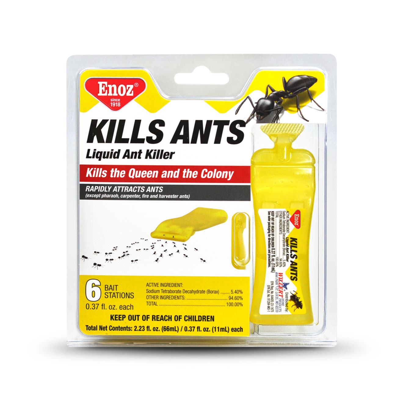 سم مورچه چیست و نکات مهم برای خرید سم مورچه
