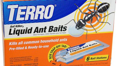 سم مورچه چیست و نکات مهم برای خرید سم مورچه