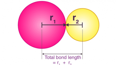 طول پیوند چیست ؟ در رابطه با آن چه می دانید؟