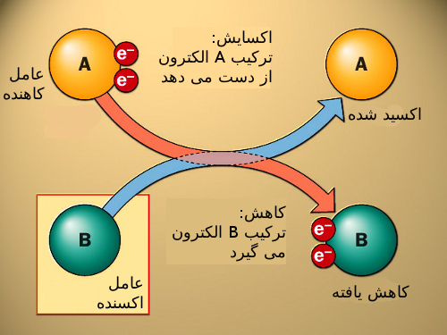 عامل اکسنده و عامل کاهنده