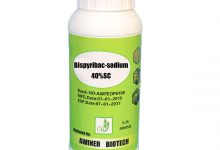 کاربردها و قیمت سم بیس پیریباک سدیم