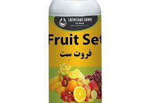 کود فروت ست چیست و چه مزایایی برای درختان دارد؟