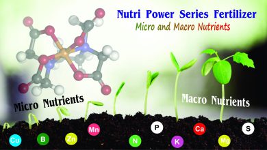 کود ماکرو چیست و چه تاثیری بر بازدهی محصولات زراعی دارد؟