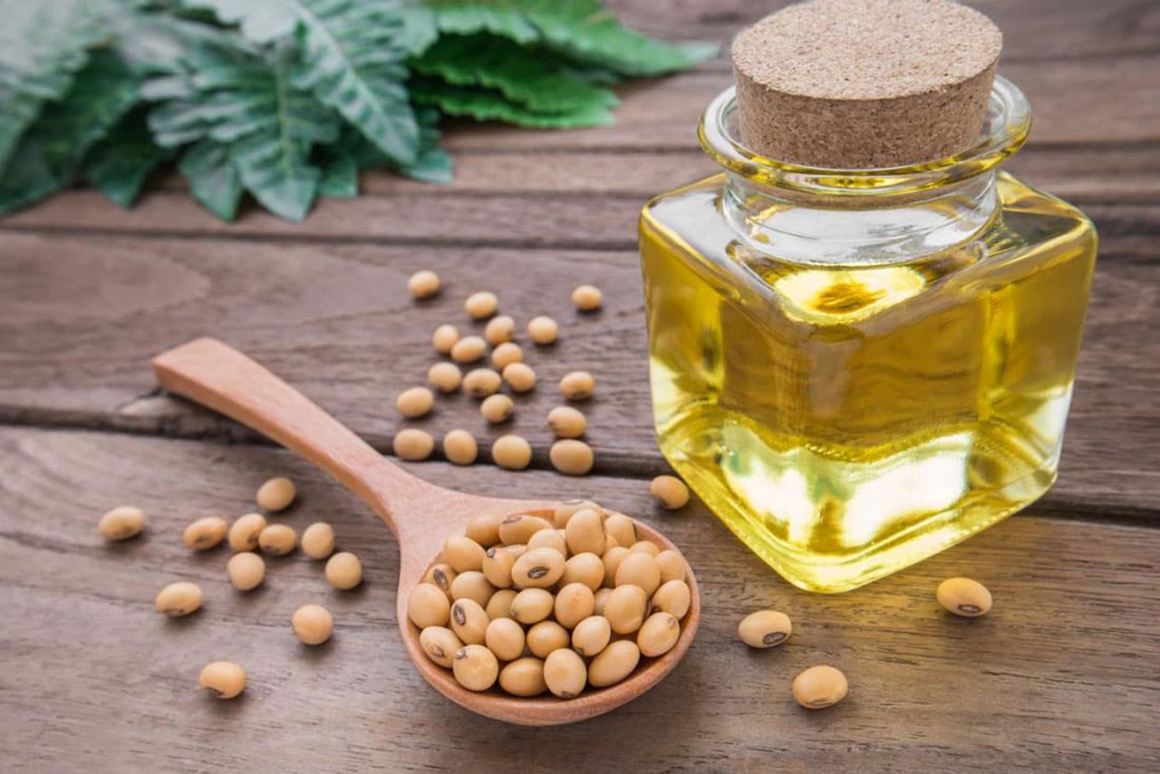 روغن سویا چیست؟ خواص و فواید روغن سویا