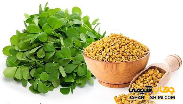 عرق شنبلیله