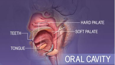 آشنایی با ساختار و عملکرد حفره دهان در انسان